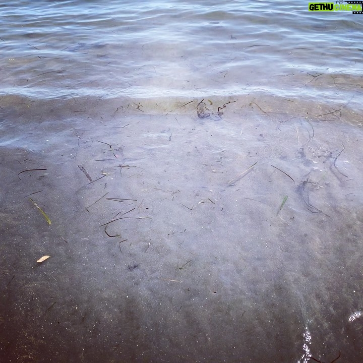 Jewels Jaselle - 123 Likes - #bythewater #reflection #balance #newport #newportbeach #introspection #loveislife #lifeisgood #breatheinbreatheout #be #beautifulday #sailing #oc #ocean #onasunday #happiness #followyourdreams
