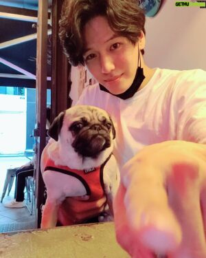 Ji Il-ju Instagram - 코코야, 카메라 좀 봐주지 않으련..?
#쿠데타
