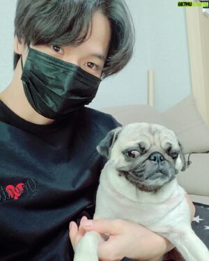 Ji Il-ju Instagram - 코코야 산책 갈까?
흠.. 글쎄요...?
#qreate