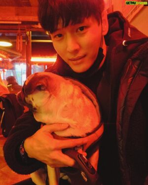 Ji Il-ju Instagram - 사진 찍기 싫은 코코...;;