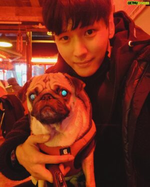 Ji Il-ju Instagram - 사진 찍기 싫은 코코...;;