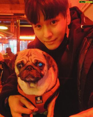 Ji Il-ju Instagram - 사진 찍기 싫은 코코...;;