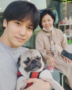 Ji Il-ju Instagram - 엄니랑 코코랑 애견카페ㅎ
#도그라운지