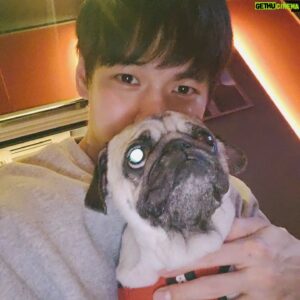 Ji Il-ju Instagram - 코코야 사진 찍기 싫어....?