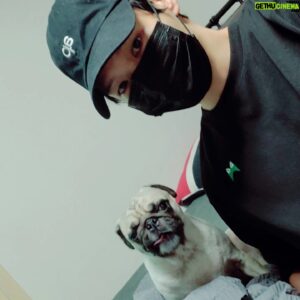 Ji Il-ju Instagram - 코코야 야밤에 산책 갈까?ㅎ
#강아지 #퍼그 #gorfeert