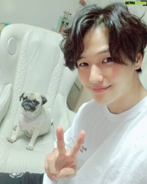 Ji Il-ju Instagram - 코코는 오늘도~♥️
#누하스 #안마의자