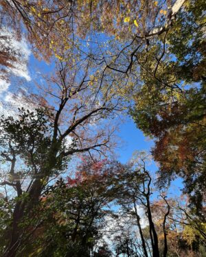 Jia Hui Siau Instagram - Because this beautiful garden deserves a post of its own! 🇯🇵 

1) this place needs no filter! #美到爆
2) ✌🏼
3) going everywhere with Little T
Can’t decide if I like 4, 5, or 6 the most!
7) 12 degrees Celsius Bishan-AMK park 😂 (many of you saw the resemblance!)
8) 天天都有落叶～ #什么歌
9) otw to the park (need to walk quite a bit from the station 🦶 )
10) eating this while admiring the scenery 

#Tokyo #TokyoTravel #Rikugien
