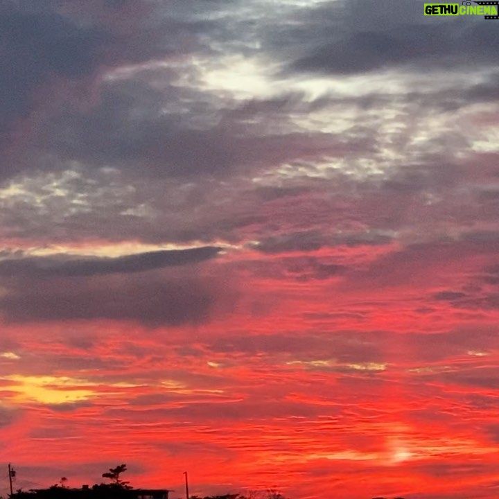 Jihae - 268 Likes - Glorious, apocalyptic and reflective sky. What do these colors it make u feel?