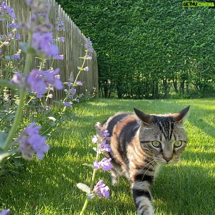 Jihae - 546 Likes - Stop n smell the flowers.