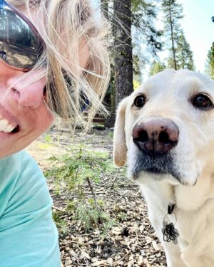Jill Shalvis Instagram - Quick staff meeting where my cowriter is complaining about not enough on the page time for my hero’s dog. 🙃
