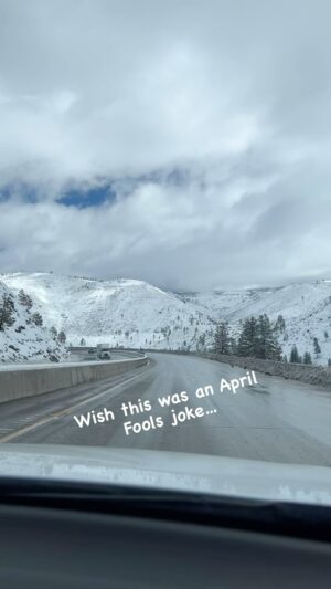 Jill Shalvis Instagram - #snow #tahoe #springishiding