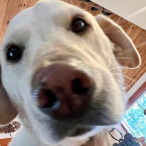 Jill Shalvis Instagram - “Xcuse me, hi, so sorry to bother you. I don’t know if you’re aware of this, but it’s thirty whole seconds past breakfast time.”