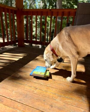 Jill Shalvis Instagram - Cali is giving away a few of my latest book, THE SUMMER ESCAPE! She’s being a good assistant because she owes me big since yesterday she ate bear poop even tho i asked her nicely not to, and started shaking like she was dying, so i took her to the vet and paid $980 to find out she’s not dying, she just had bad gas and a tummy ache. 🙃 Leave a comment to be entered. Bonus points for sharing and spreading the word! ❤️