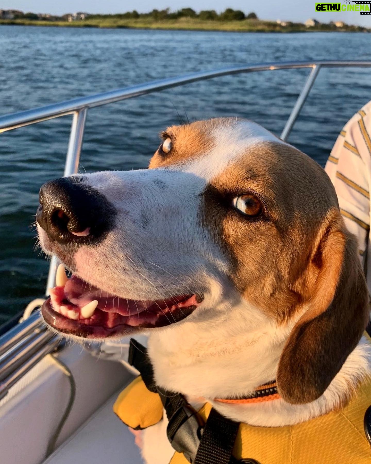 Jim Cramer - 2.5K Likes - Marley’s first outing!