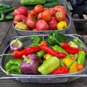 Jim Cramer Instagram - Super sauce Saturday was a success! 🍅🍅
.
.
.
.
.
.
.
#garden #fresh #cooking