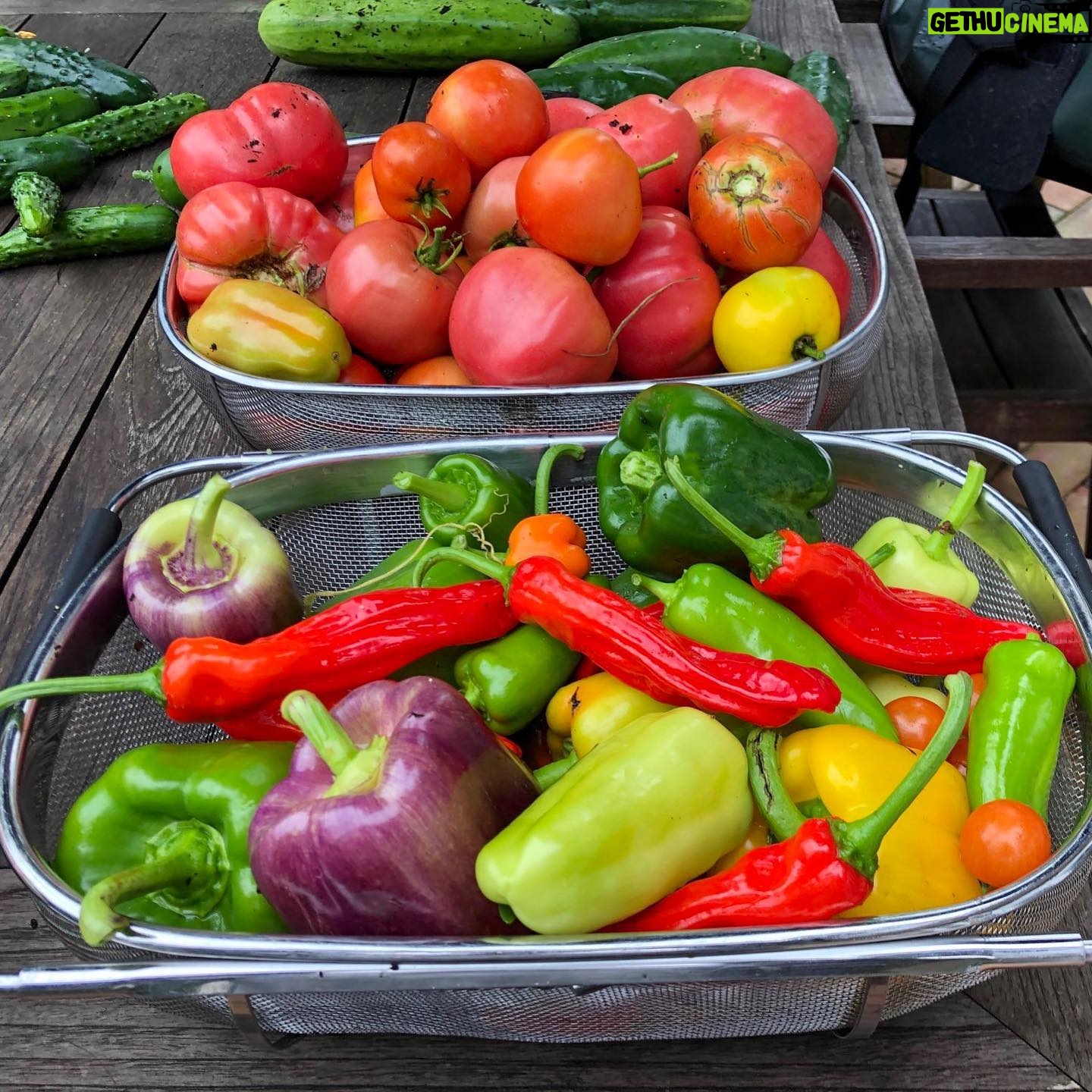 Jim Cramer - 1.2K Likes - Super sauce Saturday was a success! 🍅🍅
.
.
.
.
.
.
.
#garden #fresh #cooking