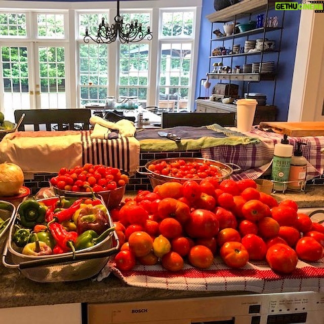 Jim Cramer - 1.2K Likes - Super sauce Saturday was a success! 🍅🍅
.
.
.
.
.
.
.
#garden #fresh #cooking