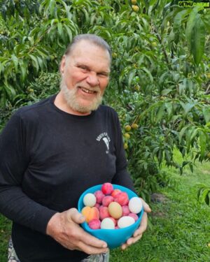 Jim Duggan Instagram - A bountiful day on the farm yesterday in South Carolina. 

Peaches, plums and eggs! 👍

@duggandebra