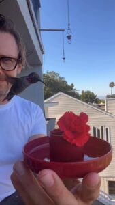 Actor Jimmi Simpson HD Instagram Photos and Wallpapers October 2022