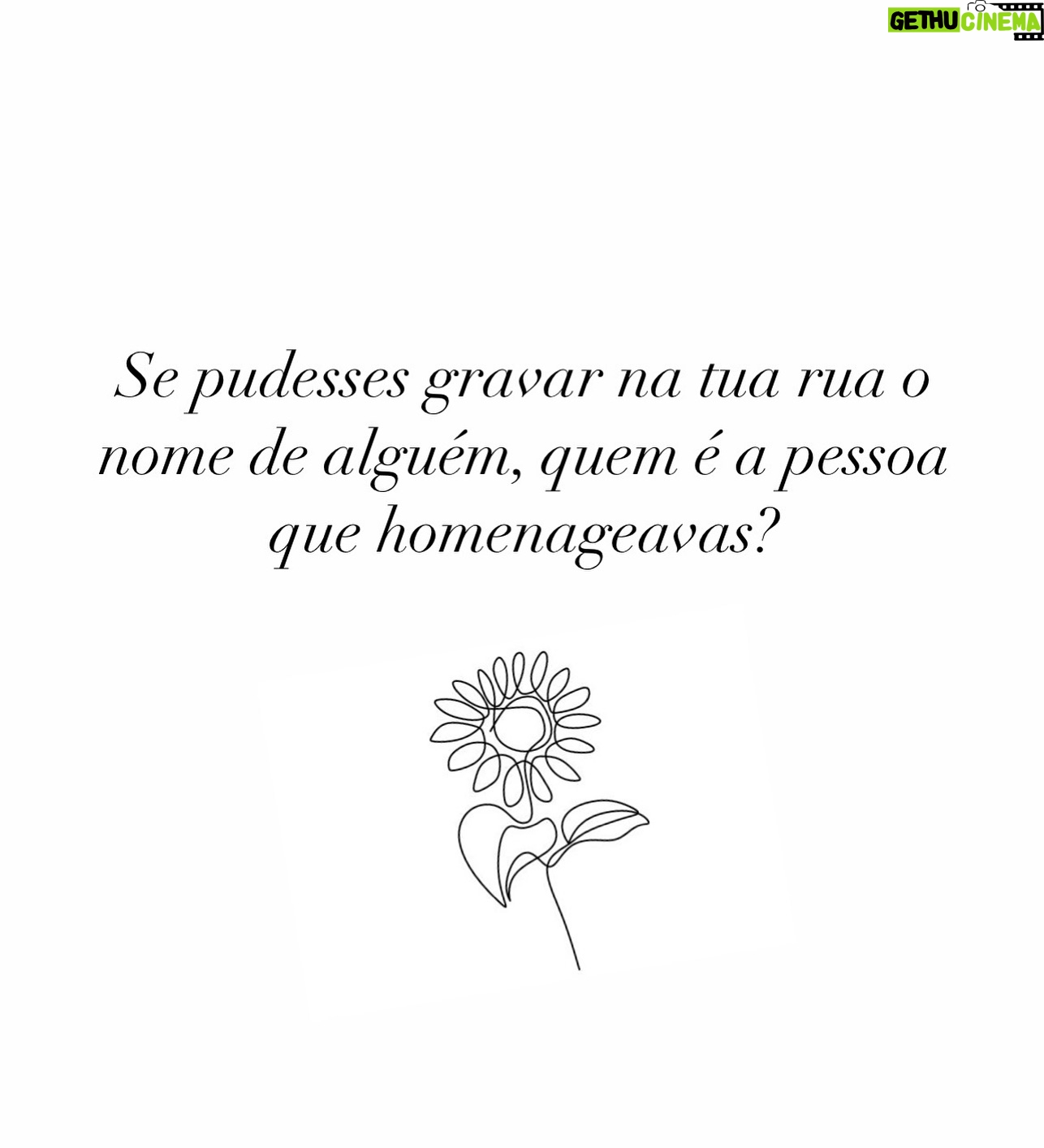 Jimmy P - 3 Likes - ⬇️ Partilhem comigo ⬇️ #GIRASSOL