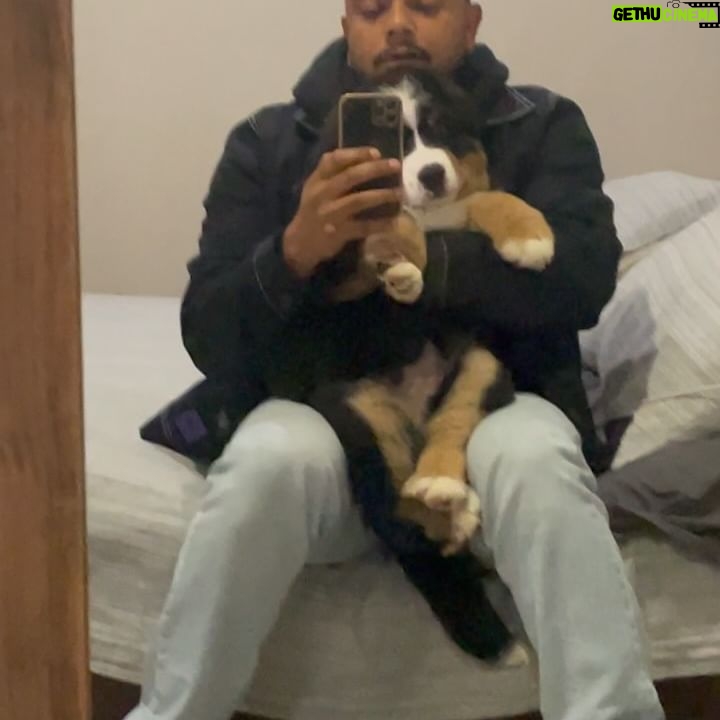 Jimmy P - 3 Likes - 1 - Em modo apertem os cintos porque em breve o PapĆ” estĆ” de volta.
2 - Conectar com as danƧas ancestrais
3 - 08AM in Paris
4 - #NOFILTER #ALLNATURAL
5 - @silviaaplacido e o filho mais novo
6 -
7 - As manas com o mais novo
8 - Melhor livro que li este ano
9 - em estĆŗdio com os bruxos @gerson_marta e @elconductor
10 - pai orgulhoso
11 - eu e cão que eu jurei que nunca ia ter parte 1
12 - novos projetos
13 - eu e cão que eu jurei que nunca ia ter parte 2