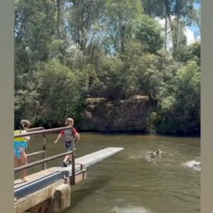 Jimmy Rees Instagram - Summer holidays with these lunatics … boating… bike riding… lots of swimming… and lots of ice creams 🤣!! @torirees_ #victoria #summerholidays #kids