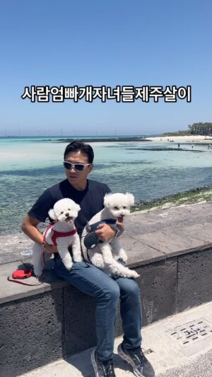 Jin Tae-hyeon Instagram - 🤍행복하자 말 잘듣고🤍
그래도 개는 개고 사람은 사람이야 
하지만 너무 사랑하지 내 개들이니까 👍🏾🔥

#반려견 #럽스타그램 #부부스타그램 
#여행 #제주살이 #제주 #금능해변 
내려온지벌써2주며칠더있다가올라가자 😃