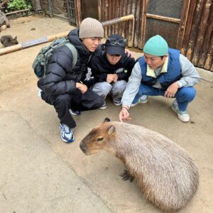 Jo Se-ho Instagram - 주우세호🙂 in KOBE
#주우재#장우영#조세호#카피바라