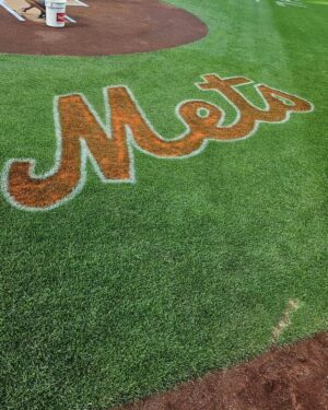 Jo Se-ho Instagram - 너무나 소중한 경험 감사합니다💙🧡
#뉴욕메츠#채널조세호
@mets @citifield