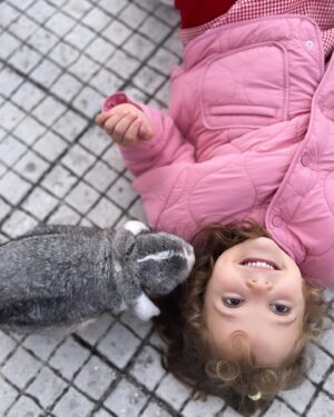 Joana Vieira Instagram - Pedido de Natal: Volta bom, meu Tobias! 🐰 #tobias #bunny #mylove
Para ajudar com as despesas do hospital veterinário : ➡️ https://ppl.pt/causas/tobias ⬅️