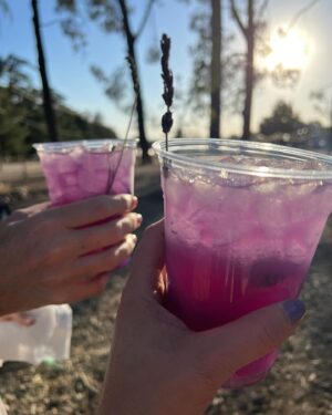 Joanna Going Instagram - Made a visit to the glorious Lavender Festival @123farmorganics with @duvenay 💜  I just wanna stay …. #lavenderfestival