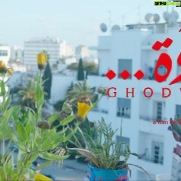 Joanne Farrell - 1.2K Likes - It’s a wrap! 🎬
Congratulations to @dhaferlabidine and the entire team at @ghodwafilm on the completion of filming movie ‘Ghodwa’ - ‘Tomorrow’
Can’t wait to see the story come together... happy editing 🎞
So proud 🤩🥳❤️
#dhaferlabidine
#ghodwafilm
