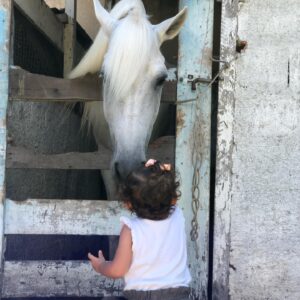 João Alcantara Instagram - 2021 começou com uma disputa familiar! 

Cavalo ou surf ? 

...

Cavalo - @mar_aguera 
Surf - me