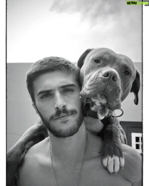 João Maria Maneira Instagram - A vida encontrou-me outra vez. 
O meu cão não é uma cão, é um pedaço de cura que o universo me entregou. Este é o Naco da Pedra, o novo membro da família Maneira. A quem o abandonou, fique descansado que será amado como nunca foi. 
Ele está bem como podem ver pelas fotos 😂e ficará cada dia melhor! Cara de “mau”, com cicatrizes de lutas mas um coração de criança, esse é o meu Naco ❤️

Bem vindo miúdo 🤗

Ph: a mais fofa e única.