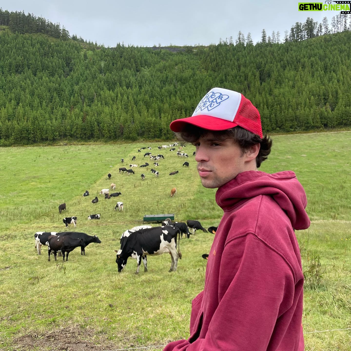 João Sousa - 40.1K Likes - é suposto ser a terra das vacas felizes, mas até agora tudo o que recebi foram olhares mal humorados