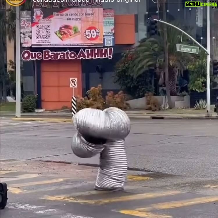 João Vitti - 2.6K Likes - Que barato AHH!
repost @realidadesimulada