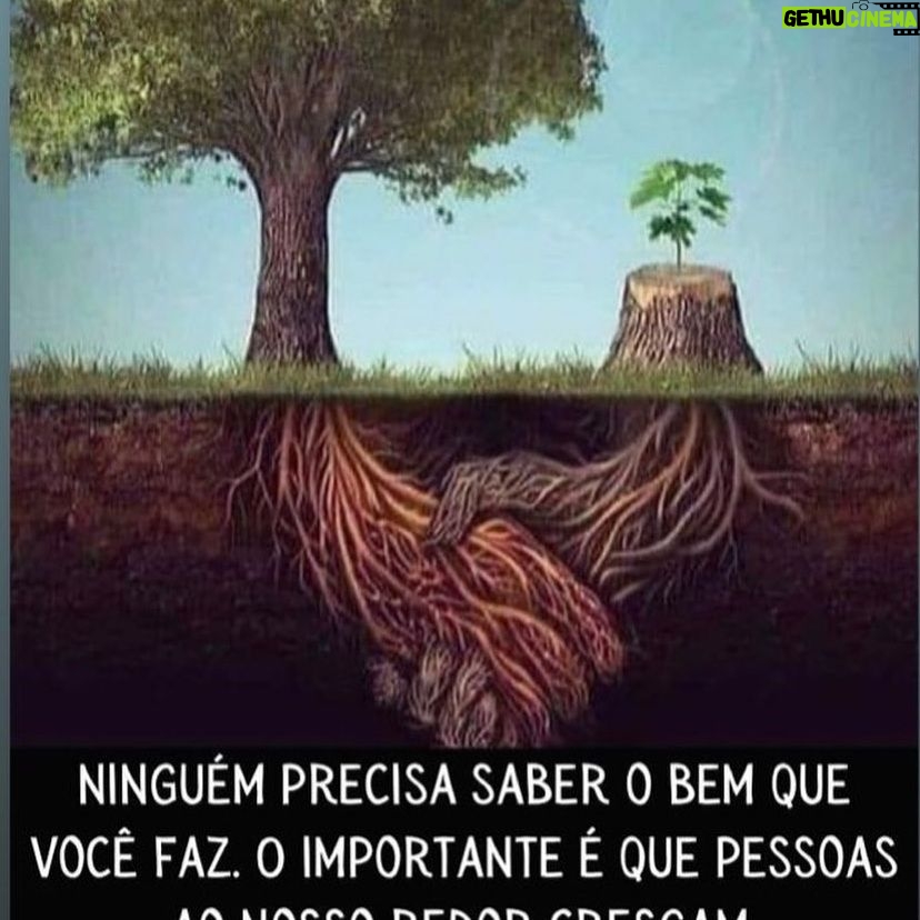 João Vitti - 2.5K Likes - MYO NO SHORAN
A virtude invisível gera a recompensa visível