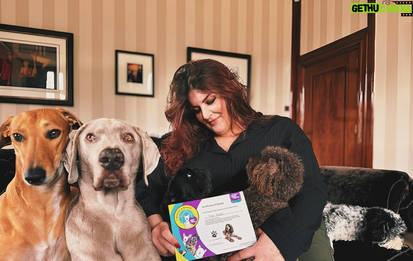 Jodie Prenger - 3 Likes - š„¹š„¹š„¹ @birmingham_dogs_home THANK YOU. What a lovely thing to be voted in as šššš #top5dogmum to all the mamas out there of these stunning little souls. Happy Mothers Day š¾šāš¦ŗš¦®šš©šā𦺠#rescuedogs #adoptdontshop