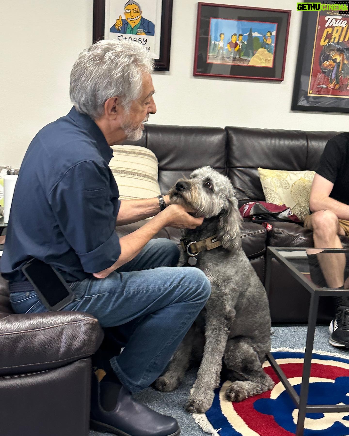 Joe Mantegna - 23K Likes - Service dog in the office today.