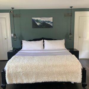 Joe Miñoso Instagram - Hey everybody. I had a great pleasure of upgrading my @cozyearth earth package with their new incredible silk comforter! If you want to get the best out of your sleep experience I highly recommend you consider one of the best bedding products I’ve ever owned. Use Discount code: CE-JOE for a great deal before my dogs buy everything!!!