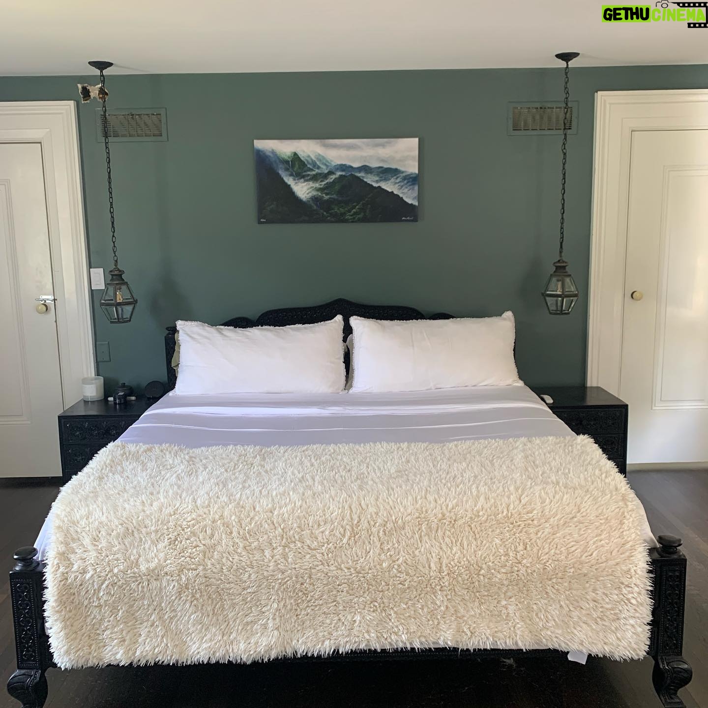 Joe Miñoso - 8.6K Likes - Hey everybody. I had a great pleasure of upgrading my @cozyearth earth package with their new incredible silk comforter! If you want to get the best out of your sleep experience I highly recommend you consider one of the best bedding products I’ve ever owned. Use Discount code: CE-JOE for a great deal before my dogs buy everything!!!