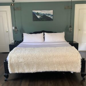 Joe Miñoso Instagram - Hey everybody. I had a great pleasure of upgrading my @cozyearth earth package with their new incredible silk comforter! If you want to get the best out of your sleep experience I highly recommend you consider one of the best bedding products I’ve ever owned. Use Discount code: CE-JOE for a great deal before my dogs buy everything!!!