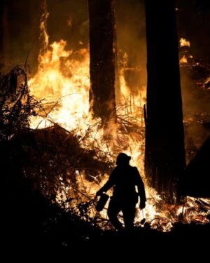 Joe Miñoso Instagram - So many areas of California have been greatly affected by all of the fires that are raging across the state. 

These fires have decimated SO MUCH. Working with a fraction of the resources needed, firefighters are working tirelessly to protect the national forests and communities, while thousands of people have been displaced, and many have lost their homes.
 ⠀⠀⠀⠀⠀⠀⠀⠀⠀⠀⠀⠀
One of the largest fires, the CZU Fire Complex, has torn across the place my wife @murphyminoso grew up in, the Santa Cruz Mountains, and knows so many personally affected. 

Firefighters, families, and animals desperately need help and are depending on relief funds to help get them through. Please donate if you can ♥️ 
DONATION LINK IN MY STORY