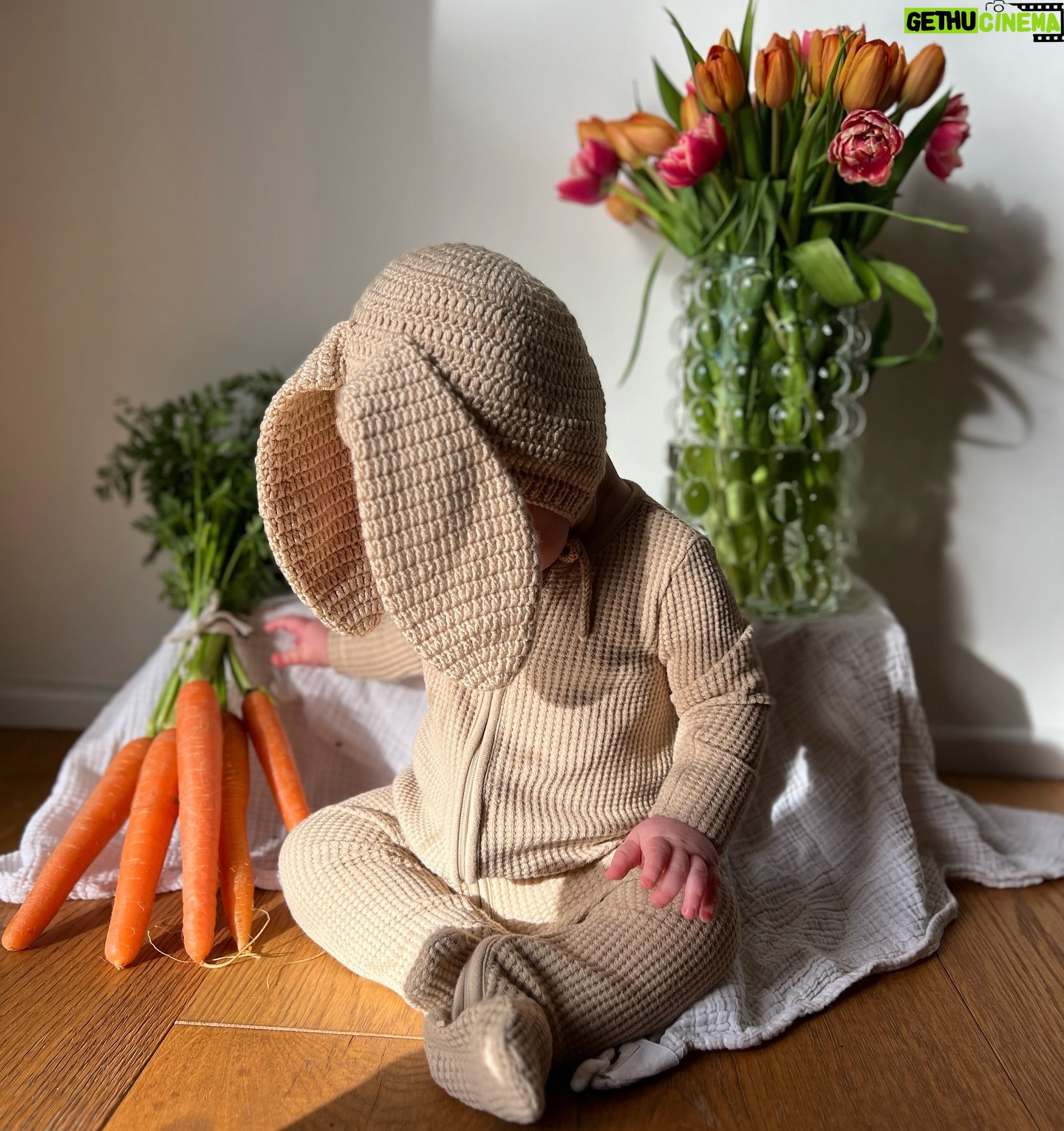 Joel Dommett - 16.3K Likes - “I hope they don’t make do an Easter card every year” 🐰🐣
Sleepsuit: @babymoriofficial
Hat: @etsyuk
Carrots: organic