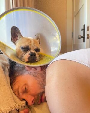 Joel McHale Instagram - I know that social media is where people has over-sharinginto an art—-but/and I’ve shared photos of our beloved Bean Bag the Frenchie over the years, so I thought I would tell you how he is doing. As you can see from the photos he’s lost his left eye. We’re not sure exactly how he injured it but his cornea had been poked or ripped somewhere in his outside adventures, and there was nothing we could do other than removal since the eye was quite damaged. Our amazing veterinarian did everything she could to save the eye, but this was the best way to go and I’m so glad to report that Bean Bag is doing terrifically and he’s back to his wonderful, energetic maniac behavior. He’s relearning to catch food out of mid air again, but he’s definitely iback to harassing his brothers —-Cowboy the Pug and Harry the white dog. The amount of worry and tears @semchale and I have shed were alarming but then I’m always reminded that the ancient Egyptians, Greeks, Chinese, and Romans always included their pets in art and tombs. Makes perfect sense to me. We love this dog and our dogs so much. And there you have it #OverShared #BeanbagTheDog #GoHuskies #GoDawgs