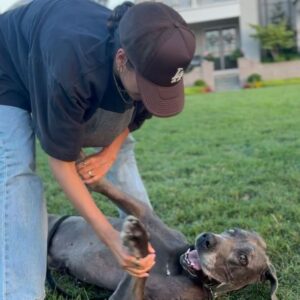 Joel Smallbone Instagram - Sending you July-4th love and greetings from moments with extended family with a few cat (Adelina) and dog (Meriweather) pics/vids at home thrown in.. 🐱🐕🏠

Moriah and me hope this day is not only filled with the explosions of fireworks - but of giving, gratitude and a grace that comes from God…the kind that surprises you and meets you right where you are. 🎇🧨🇺🇸🤍