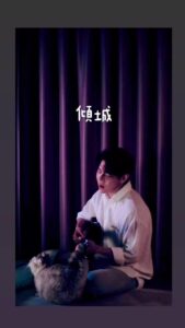 Joey Law Instagram - 有肥貓的陪伴特別溫暖🥹
#傾城
#婚後事