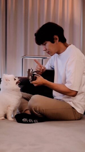 Joey Law Instagram - 那麼聽話的狗狗在哪裏找🥹
#楊丞琳
#雨愛