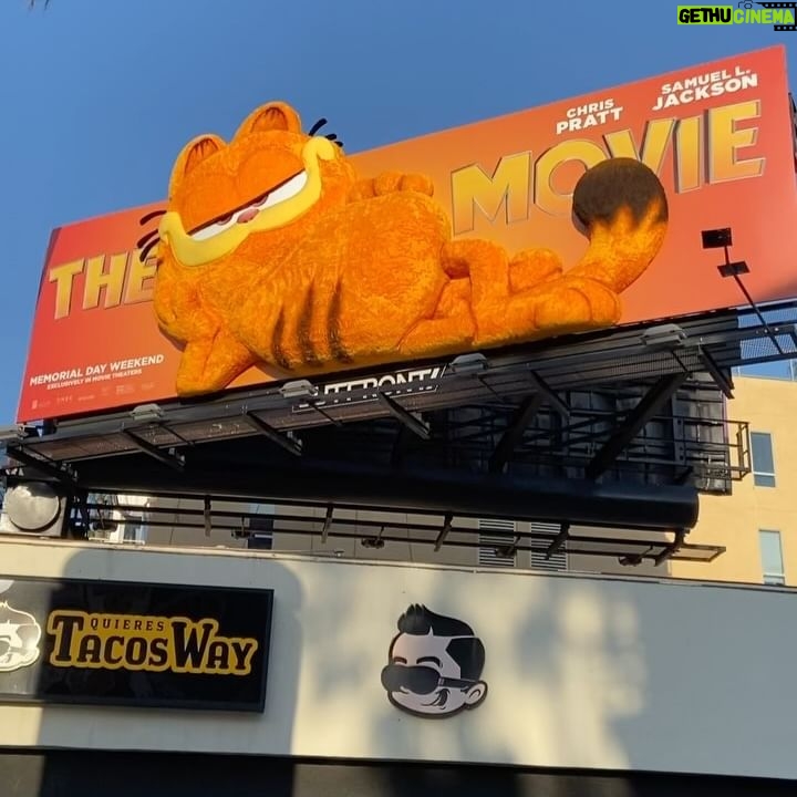 John Cohen - 19.6K Likes - Amazing animatronic billboards, furry buses, benches, and orange all around town! 🧡 #GarfieldMovie