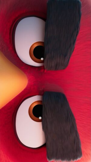John Cohen Instagram - Very excited to announce that #AngryBirdsMovie3 is launching into production! ❤️